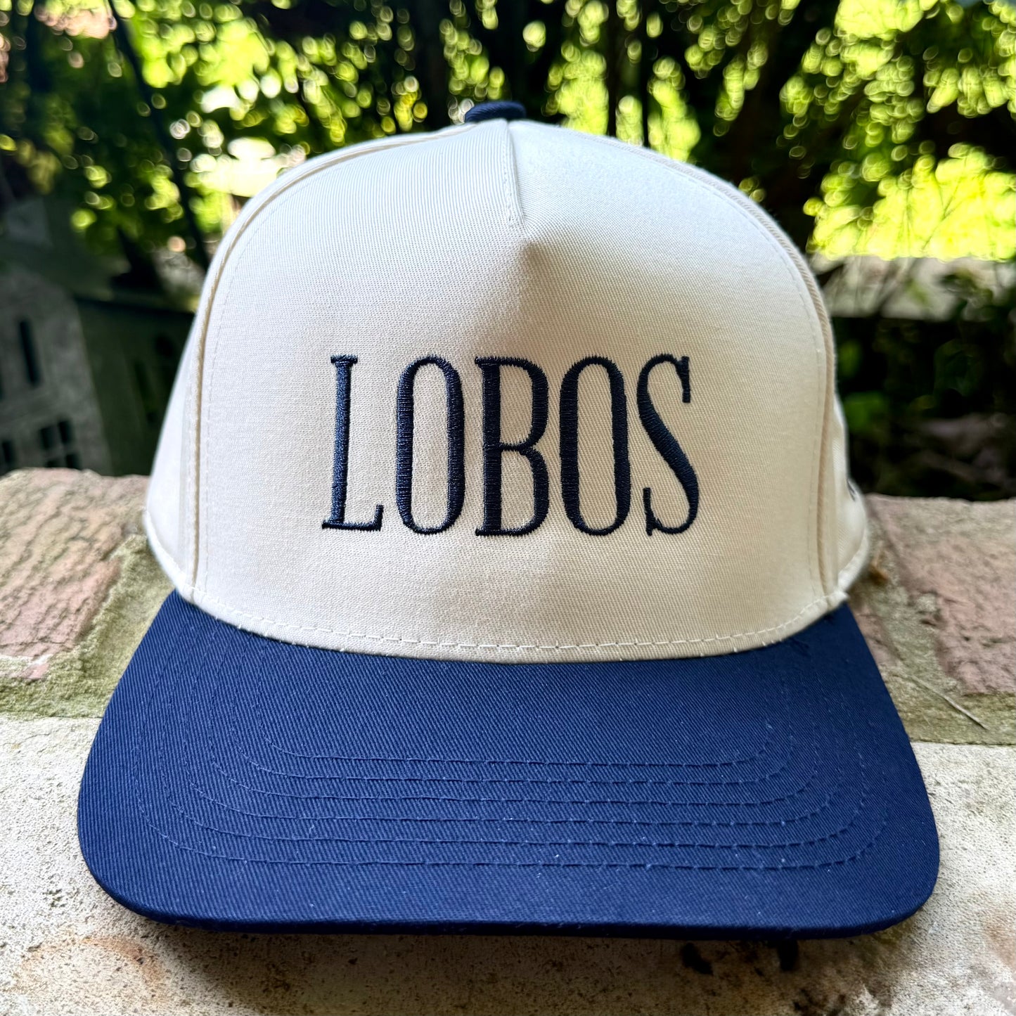 Team Hat